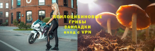 дмт Белоозёрский